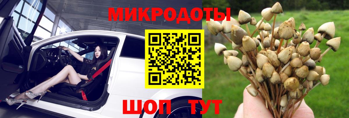Галлюциногенные грибы прущие грибы  Вход с VPN  где купить наркоту  Северобайкальск  Псилоцибиновые грибы Psilocybine cubensis 